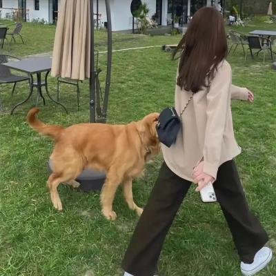 巨头